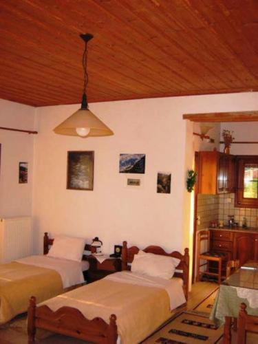 Gerakofolia Rooms To Let Konitsa Exterior photo
