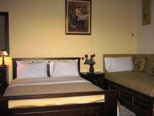 Gerakofolia Rooms To Let Konitsa Exterior photo
