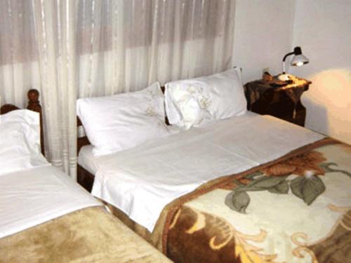 Gerakofolia Rooms To Let Konitsa Exterior photo